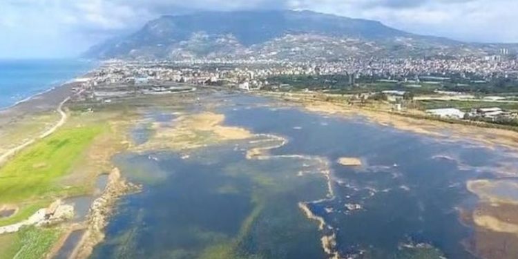 HDP'li Hatimoğulları: Kuş cenneti neden sulak alan ilan edilmedi, otel yapılacağı iddialar var