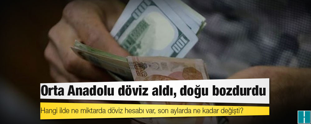 Hangi ilde ne miktarda döviz hesabı var, son aylarda ne kadar değişti?