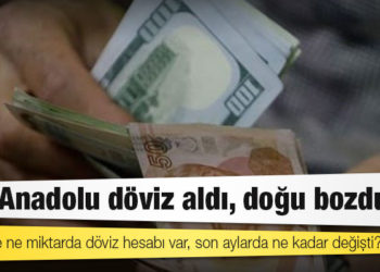 Hangi ilde ne miktarda döviz hesabı var, son aylarda ne kadar değişti?