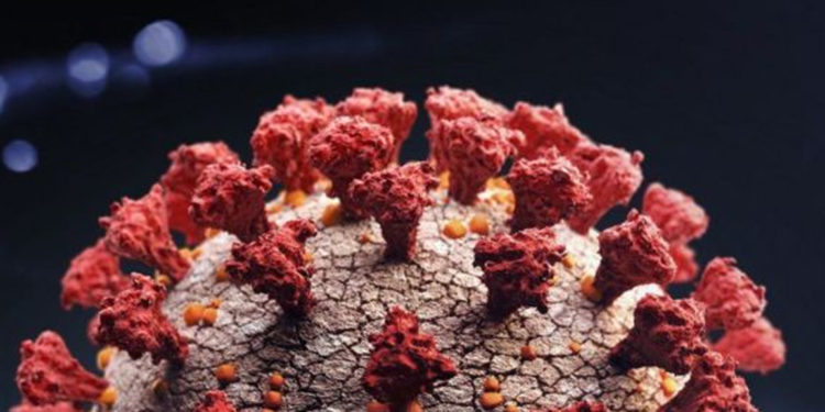 Harvard Üniversitesi'nden Doç. Dr. Altındiş, Omicron varyantı konusunda uyardı: Aşılarınızı hızla tamamlayın; aşısızlarla sosyalleşmeyin