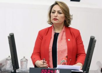 Hekimlere arşiv araştırmasına Meclis'te tepki: Akıl tutulması