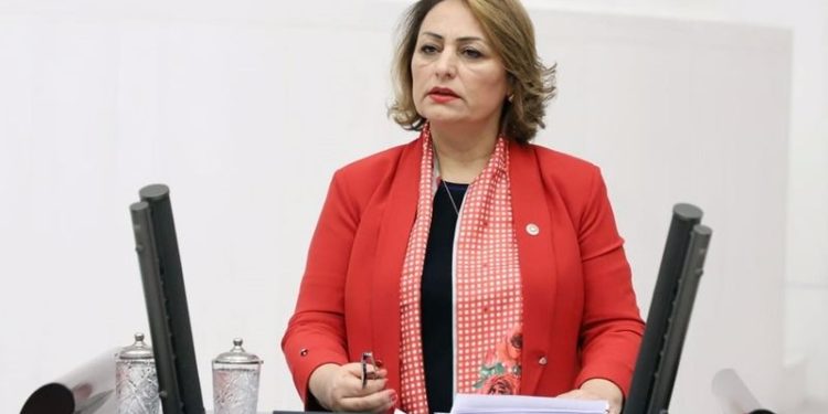 Hekimlere arşiv araştırmasına Meclis'te tepki: Akıl tutulması