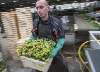 Hollanda’da asgari ücret ne kadar?