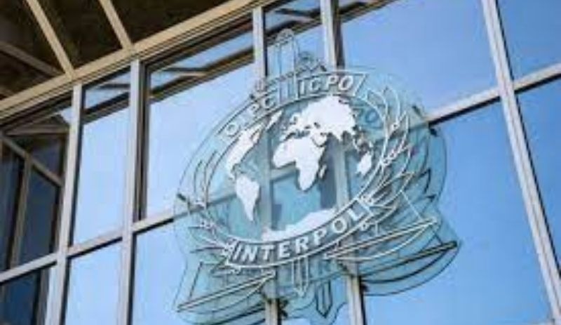 Interpol'ün BAE'li başkan adayı tepkilerin odağında