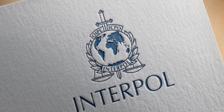 Interpol'ün 89'uncu başkanı İstanbul'da belirlenecek