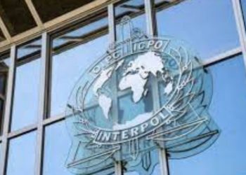 Interpol'ün BAE'li başkan adayı tepkilerin odağında