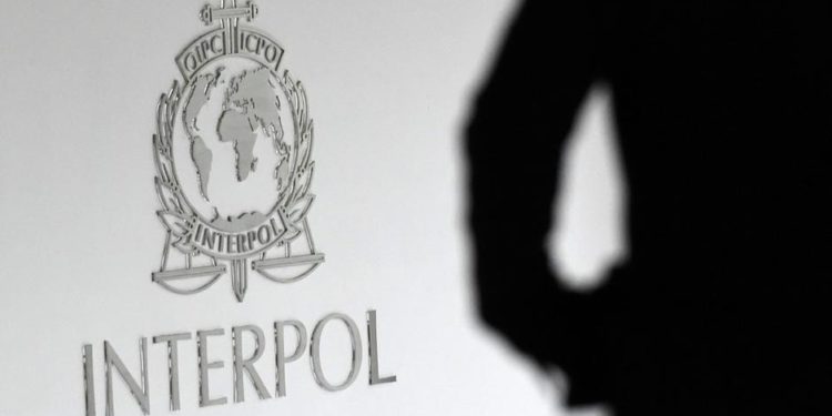 Interpol'ün BAE'li başkan adayına tepki