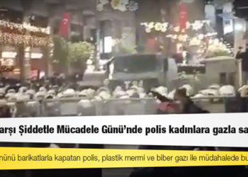 Kadına Karşı Şiddetle Mücadele Günü’nde polis kadınlara gazla saldırdı