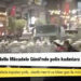 Kadına Karşı Şiddetle Mücadele Günü’nde polis kadınlara gazla saldırdı