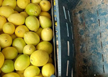 Kasanın fiyatı, içindeki limonu geçti