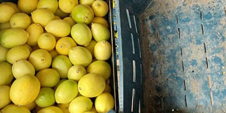 Kasanın fiyatı, içindeki limonu geçti