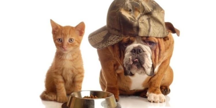 Kedi-köpek mamalarına yüzde 40 oranında zam geldi