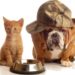 Kedi-köpek mamalarına yüzde 40 oranında zam geldi
