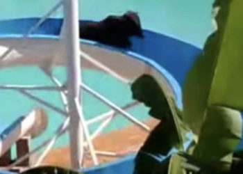 Kesilmekten kaçan öküz su kaydırağından kaydı