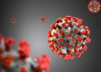 Koronavirüs verileri: 24 bin 317 yeni vaka, 189 can kaybı