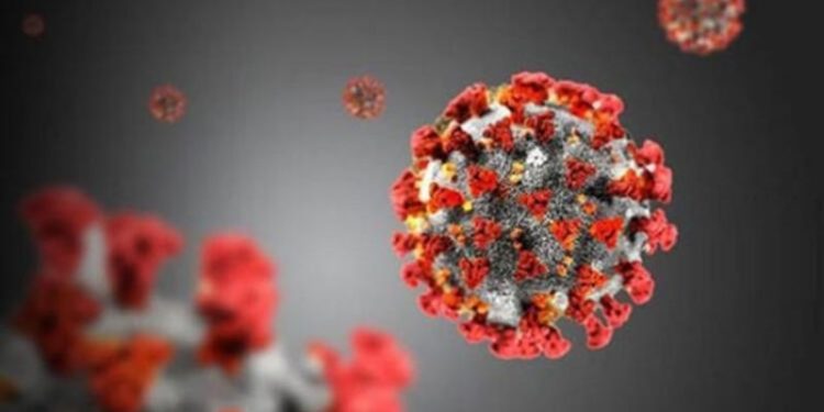 Koronavirüs verileri: 24 bin 317 yeni vaka, 189 can kaybı