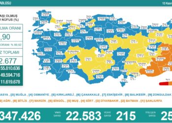 Koronavirüsten 215 kişi yaşamını yitirdi