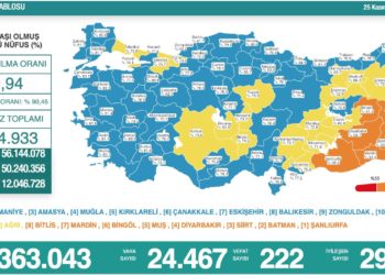 Koronavirüsten 222 kişi hayatını kaybetti