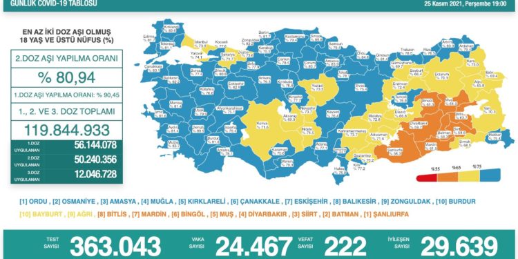 Koronavirüsten 222 kişi hayatını kaybetti