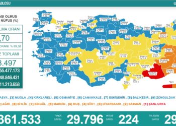 Koronavirüsten 224 kişi hayatını kaybetti