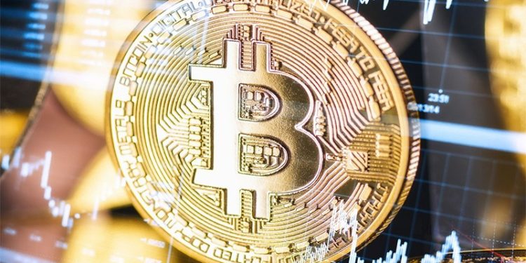 Kripto para piyasasında 20 dolar bir haftada nasıl 1053 dolar oldu?