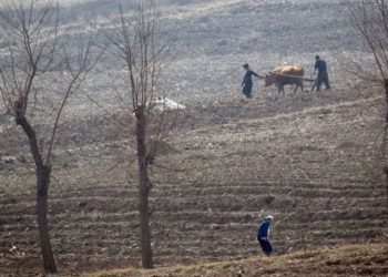 Kuzey Kore’de 'birçok insan kış aylarında açlıktan ölebilir'