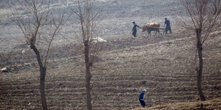 Kuzey Kore’de 'birçok insan kış aylarında açlıktan ölebilir'