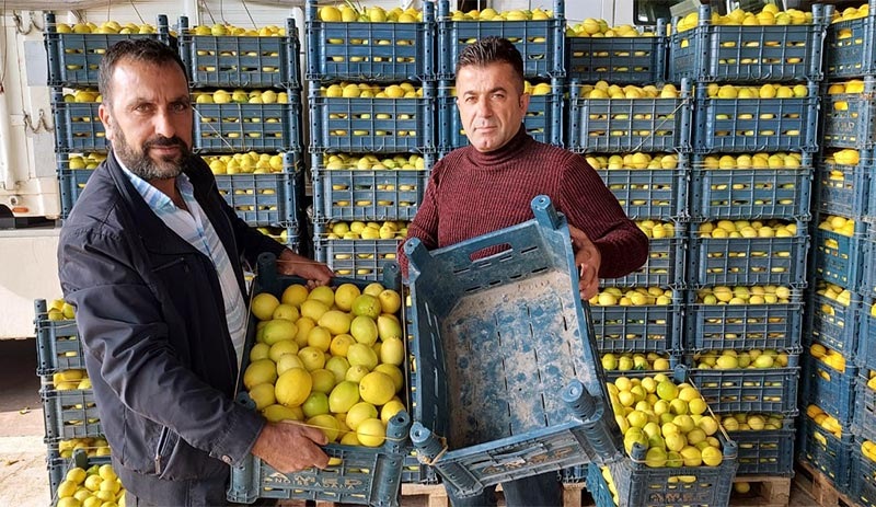 'Limon, konulduğu kasadan; limon suyu da sudan daha ucuz'