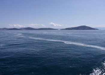 Marmara Denizi ve Adalar ‘Özel Çevre Koruma Bölgesi’ ilan edildi