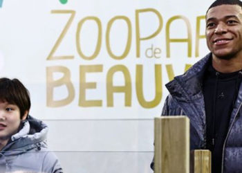 Mbappe, yavru pandanın vaftiz babası oldu