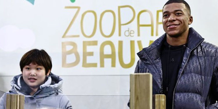 Mbappe, yavru pandanın vaftiz babası oldu