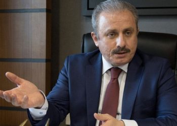 Meclis Başkanı Şentop: 'Tek adam' diyenlere soruyorum size göre kaç olması lazım, yani  2, 3, 5, 10?