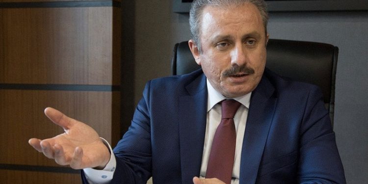 Meclis Başkanı Şentop: 'Tek adam' diyenlere soruyorum size göre kaç olması lazım, yani  2, 3, 5, 10?