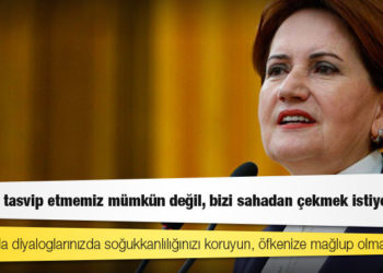 Meral Akşener'den Lütfü Türkkan açıklaması: Bu olayı tasvip etmemiz mümkün değil, bizi sahadan çekmek istiyorlar