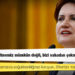 Meral Akşener'den Lütfü Türkkan açıklaması: Bu olayı tasvip etmemiz mümkün değil, bizi sahadan çekmek istiyorlar
