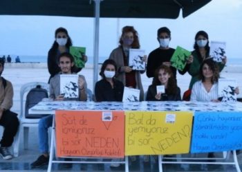 Mersin’de Dünya Vegan Günü etkinliği