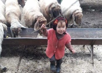 Müslüme’nin 4 kardeşi devlet korumasına alındı, annesi kadın konukevine yerleştirildi