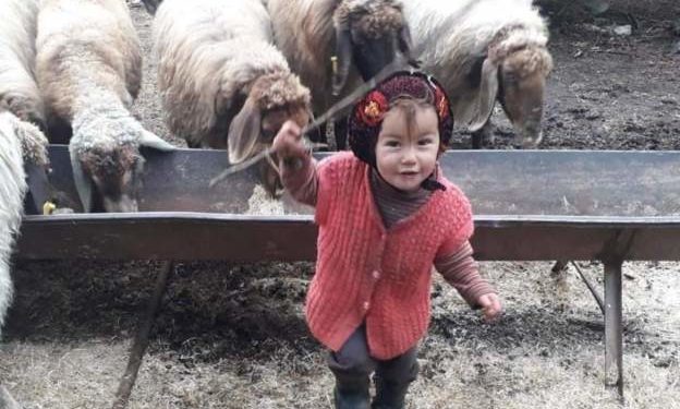 Müslüme’nin 4 kardeşi devlet korumasına alındı, annesi kadın konukevine yerleştirildi
