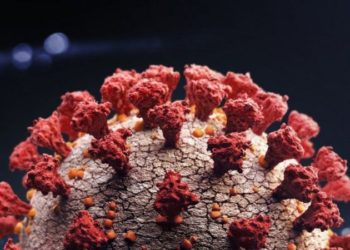 Omicron: Avrupa'da da tespit edilen varyant neden endişe yaratıyor?