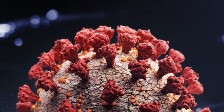 Omicron: Avrupa'da da tespit edilen varyant neden endişe yaratıyor?