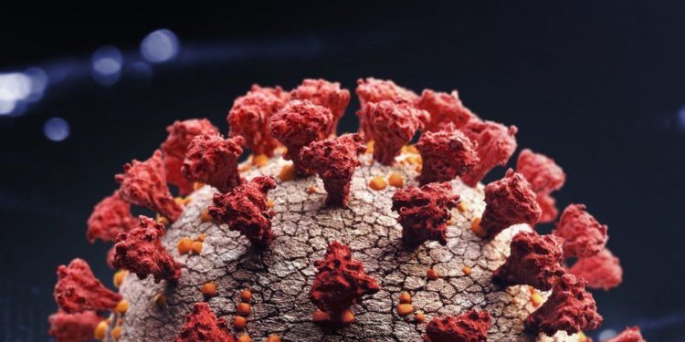 Omicron: Dünya Sağlık Örgütü, 'Küresel risk çok yüksek' diyerek kamuoyunu uyardı