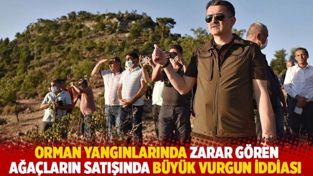 Orman yangınlarında zarar gören ağaçların satışında büyük vurgun iddiası