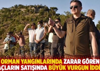 Orman yangınlarında zarar g&ouml;ren ağa&ccedil;ların satışında b&uuml;y&uuml;k vurgun iddiası