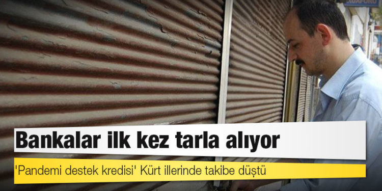'Pandemi destek kredisi' Kürt illerinde takibe düştü: Bankalar ilk kez tarla alıyor