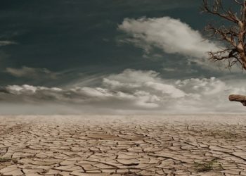 Paris Anlaşması 10 Kasım'da yürürlüğe girecek