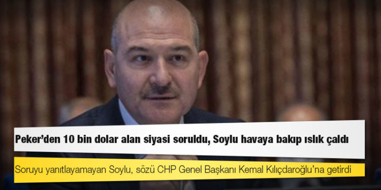 Peker’den 10 bin dolar alan siyasi soruldu, Soylu havaya bakıp ıslık çaldı