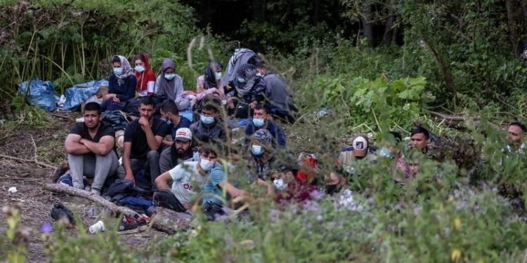 Polonya: Belarus taktik değiştirdi, göçmenler küçük gruplar halinde sınırı geçiyor