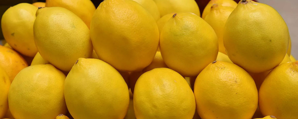 Rusya, Türk bir firmadan limon alımlarını durdurdu