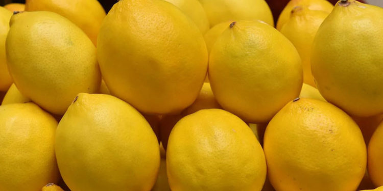 Rusya, Türk bir firmadan limon alımlarını durdurdu