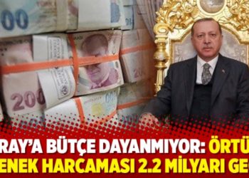 Saray’a bütçe dayanmıyor: Örtülü ödenek harcaması 2.2 milyarı geçti